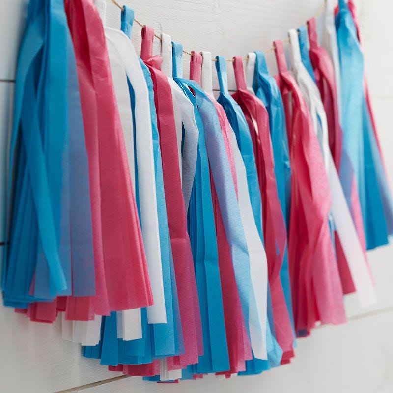 Gender Reveal Paper Tassel Garland - 2.5m