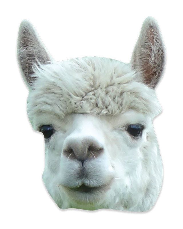 Alpaca Cardboard Mask