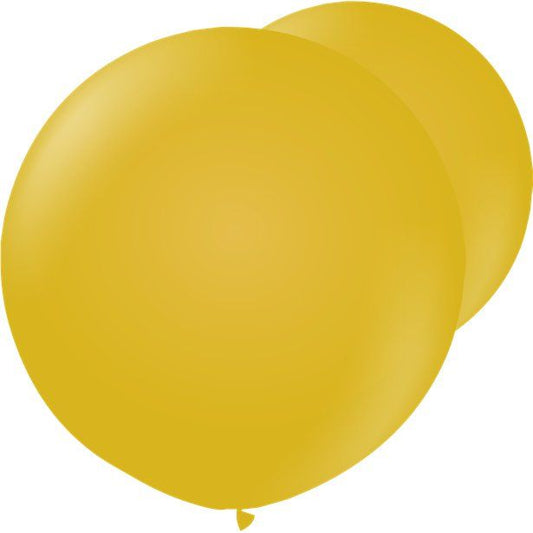 Retro Mustard - 24" Latex (2pk)