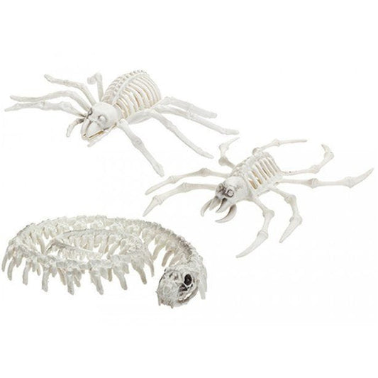 Skeleton Animals