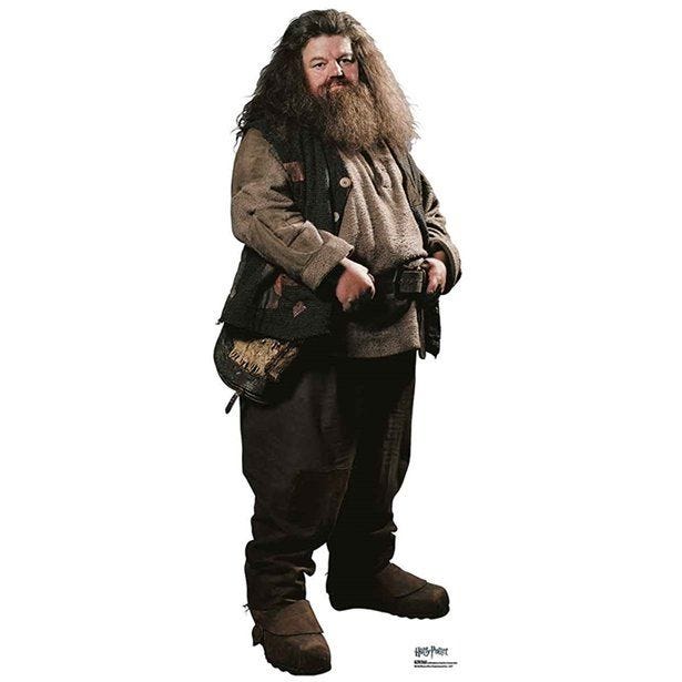 Hagrid Harry Potter Cardboard Cutout - 91cm x 35cm