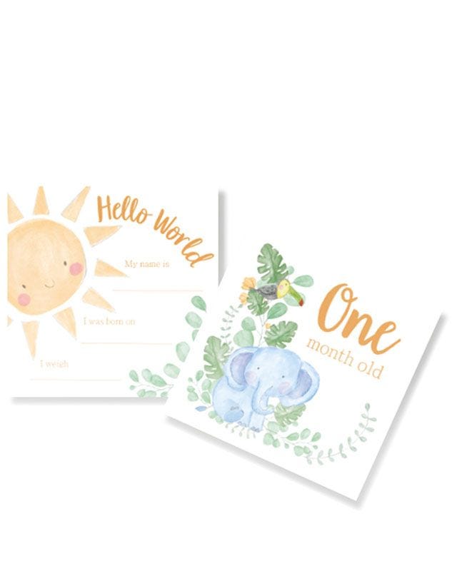 Baby Milestone Moments Cards (28pk)