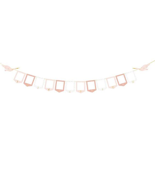 Stork Frame Photo Garland - 2.5m