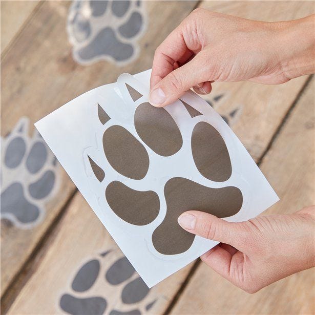 Let's Go Wild Animal Pawprint Floor Stickers (6pk)